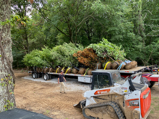 Trading Post – Natchez Tree Company